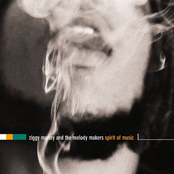 Won't Let You Down by Ziggy Marley & The Melody Makers