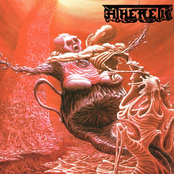 Adhesion,aversion...