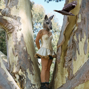 Complimentary Ghosts