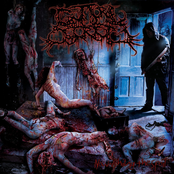 Stainless Conception by Guttural Secrete