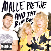 Are You Punk Or Are You Drunk? by Malle Pietje And The Bimbos