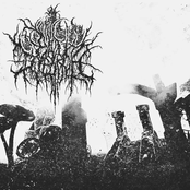 Chamber Of Tvkvshapal (EP)