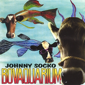 Johnny Socko: Bovaquarium