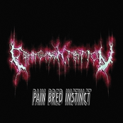 Pain Bred Instinct - Single
