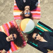 Homestyle Dinner Rolls: Taco Bell