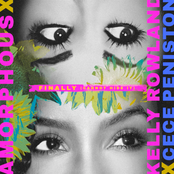 Amorphous: Finally (Cannot Hide It) [feat. Kelly Rowland & CeCe Peniston]