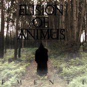 Elision Of Animus