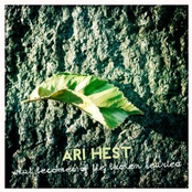 What Becomes Of The Broken Hearted by Ari Hest