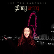 Her Yer Karanlık - Single