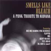 Smells Like Bleach: A Punk Tribute to Nirvana