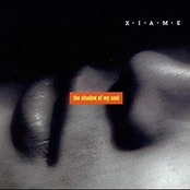 The Shadow of My Soul