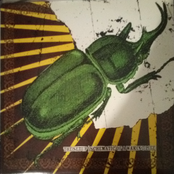 The Setup/Schematic of A Waking Life Split