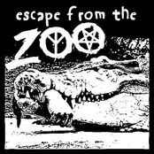 escape from the zoo