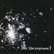 Mr.Underground