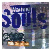 Feel The Spirit by Wailing Souls