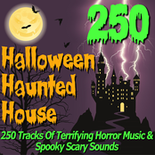 Halloween Haunted House - 250 Tracks Of Terrifying Horror Music & Spooky Scary Sounds