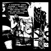 A transgender woman surviving. - Thoughts of ending it all. - A broken mind tearing itself apart each day. - Living despite everything.