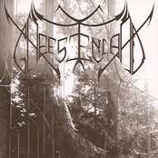 Total Necro Deceased