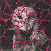 Desvelo, Lluvia Fina