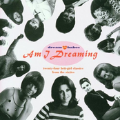 Dream Babes, Vol.1-Am I Dreaming?