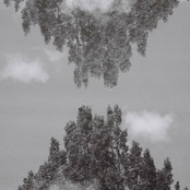 Darwinners and Losers