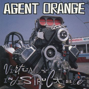 Make Up Your Mind And Do What You Want To Do by Agent Orange