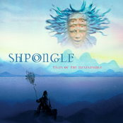 Shpongle: Tales of the Inexpressible