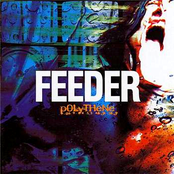 Forgive by Feeder