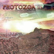 Protozoa Vol. III Compiled By Agneton