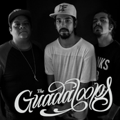 the guadaloops