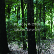 Schubert / Schumann