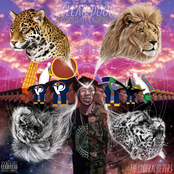 Nebulous by The Underachievers