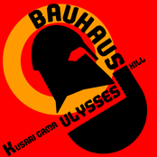Bauhaus Ulysses