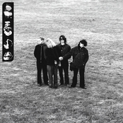 Wet Denim: On The Line