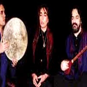 Hossein Alizadeh & Madjid Khaladj & Homa Niknam