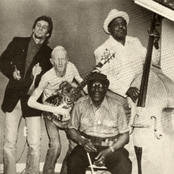 sonny terry with johnny winter & willie dixon