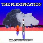 The Flexification