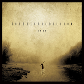 These Walls Are Thin by The Boxer Rebellion