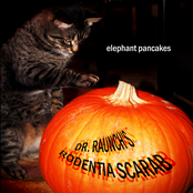 Dr. Raunch's Rodentia Scarab