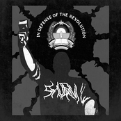 In Defense Of The Revolution