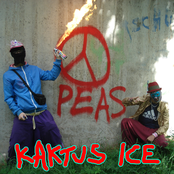 Kaktus Ice