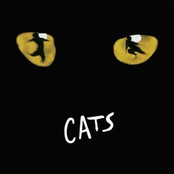Cats: Broadway Cast