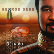 Stupid Is As Stupid Does by George Duke