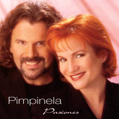 Bronca by Pimpinela