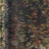 Home Is Everywhere and Nowhere at Once