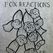 Fox Reactions