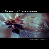 OXYCANTA - Winter Blooms Album Picture