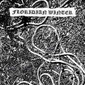 Floridian Winter / Night Falls Haunting