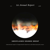 Unexplained Sounds Group: 1st Annual Report