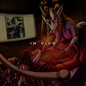 In Vivo